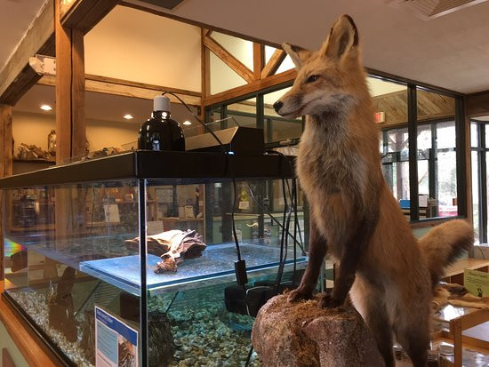 Croydon Creek Nature Center景点图片