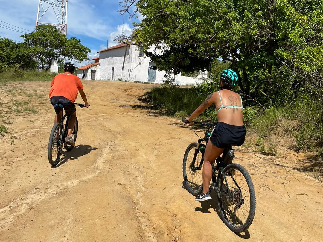 Trilhas Porto de Galinhas-嘎林海斯港必去景点