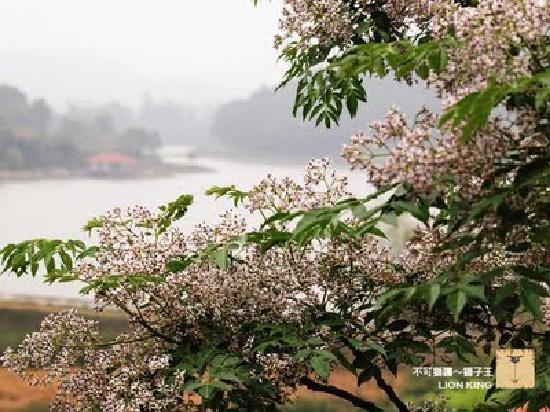 越式林园-河内必去景点