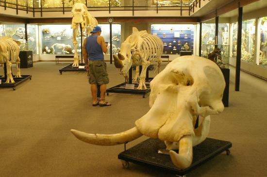 骨学博物馆-俄克拉何马城必去景点