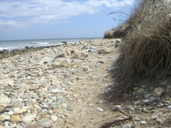 Montauk Point State Park景点图片
