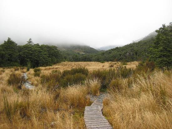 Arthur's Pass Hiking & Tranz Alpine One Day Tour景点图片
