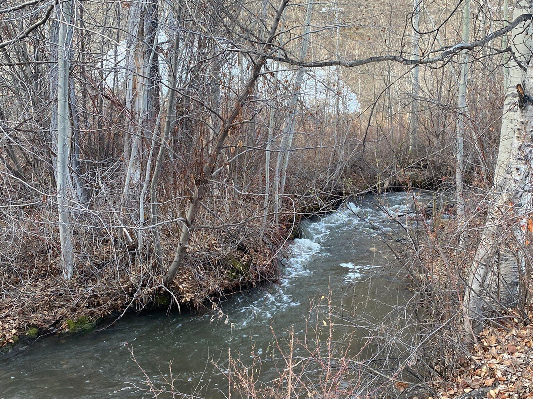 Living Waters Ranch