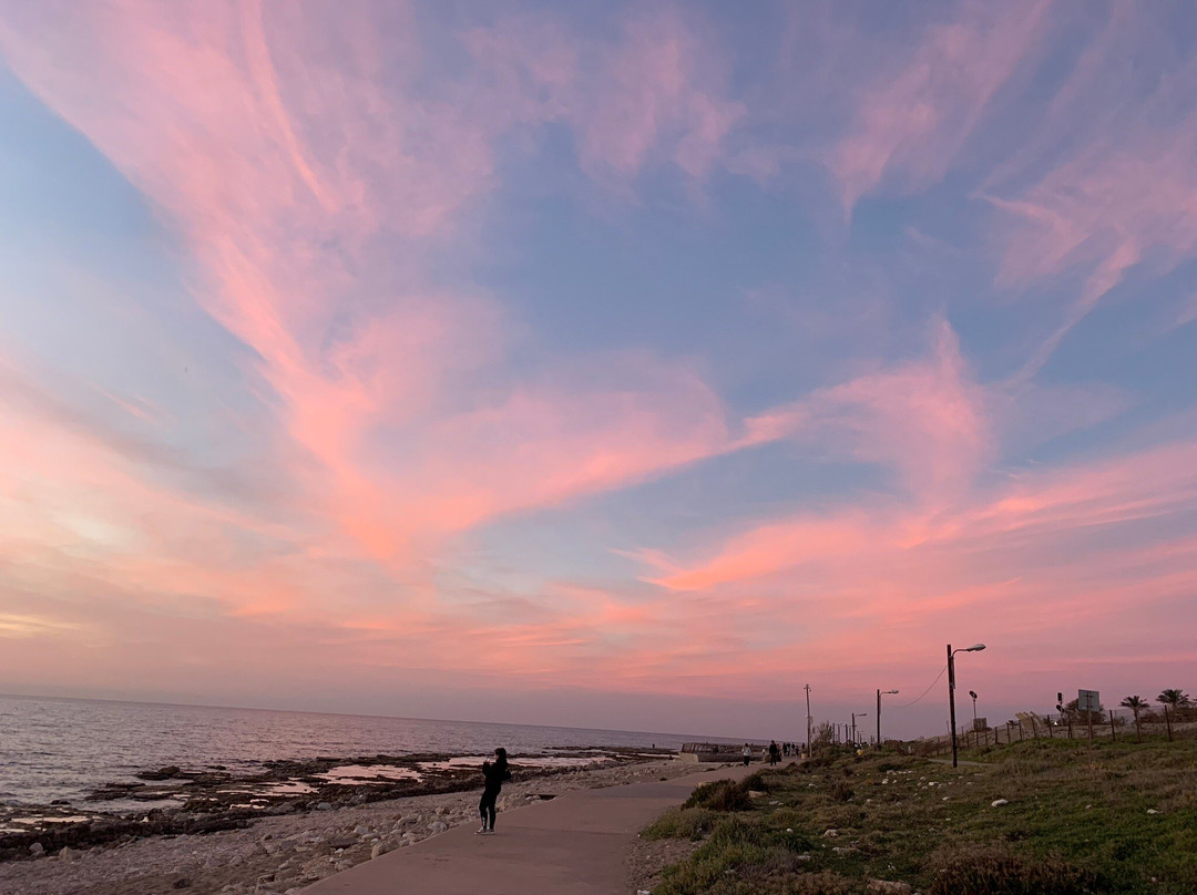 Hecht Park-Haifa必去景点