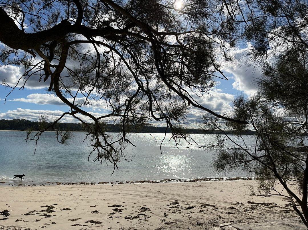 Bendalong Beach景点图片