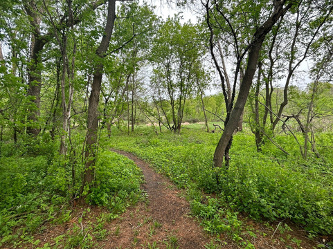 Izaak Walton Wetlands-罗切斯特必去景点