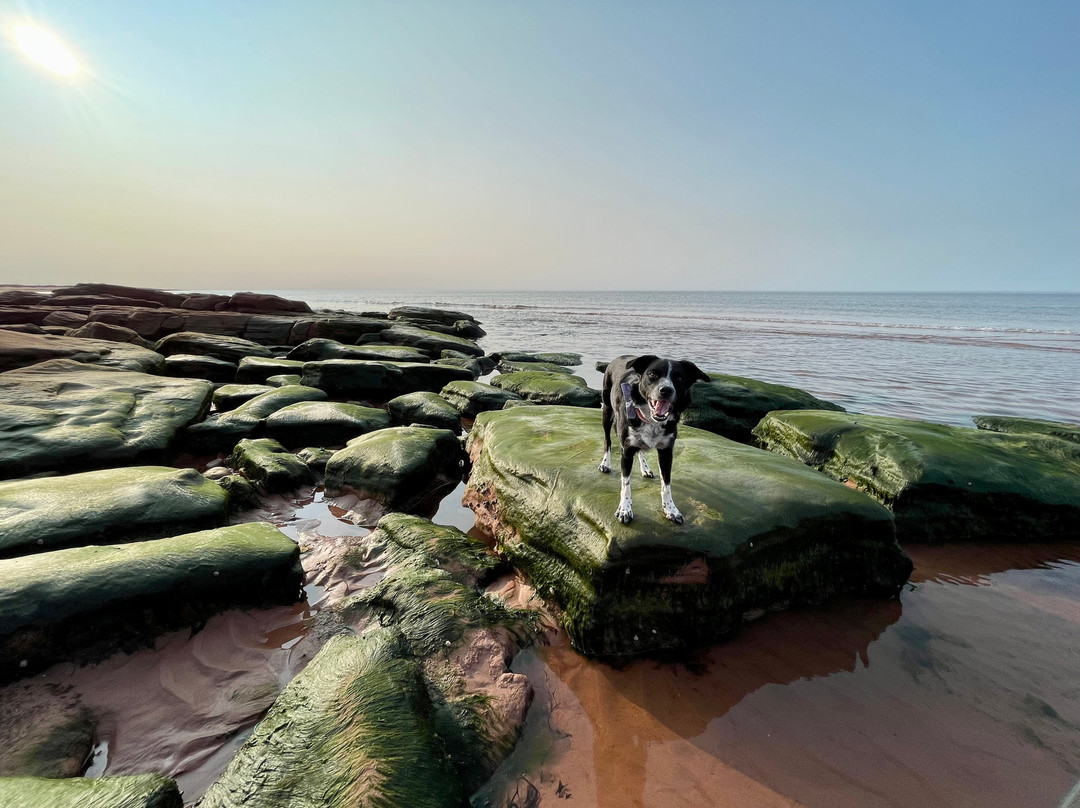 North Lake Beach Motel主图