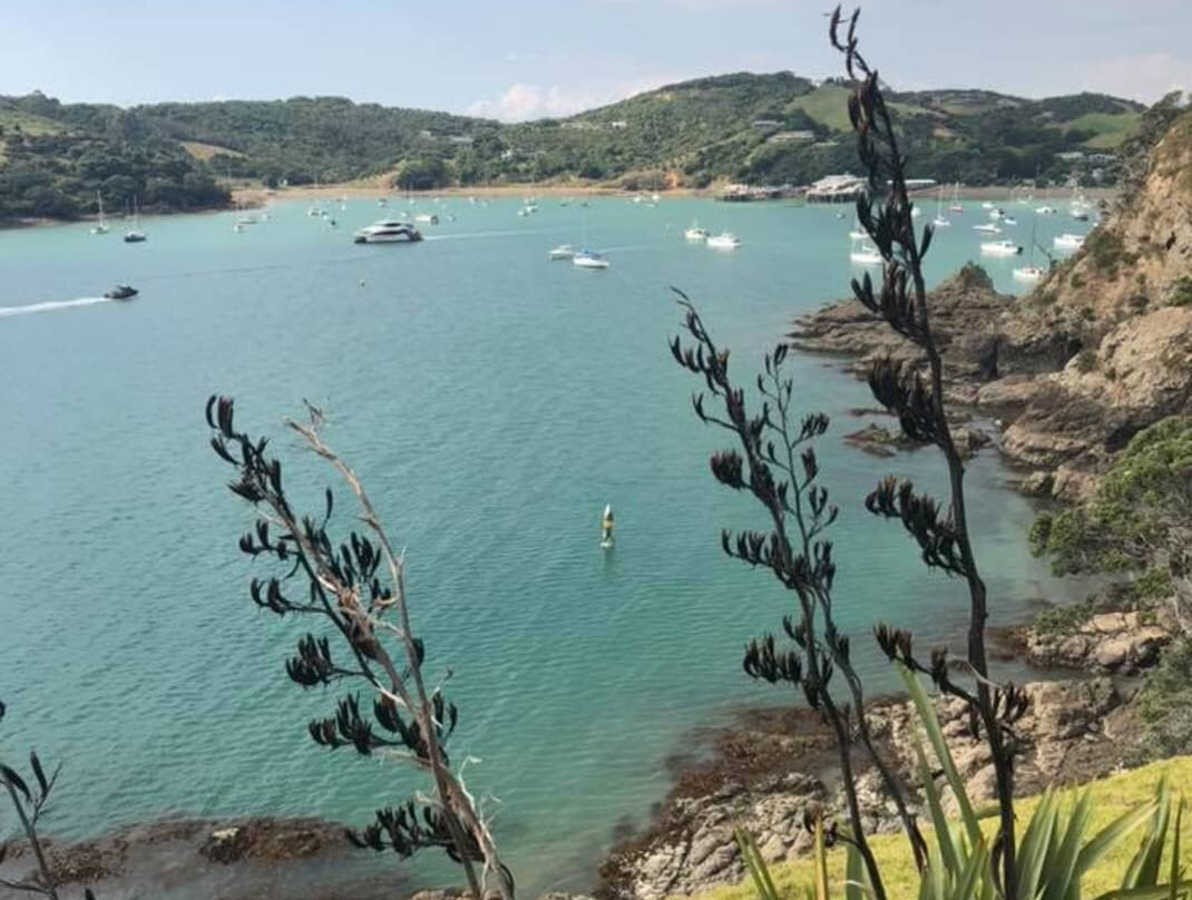 Connells Bay Sculpture Park-怀系奇岛必去景点