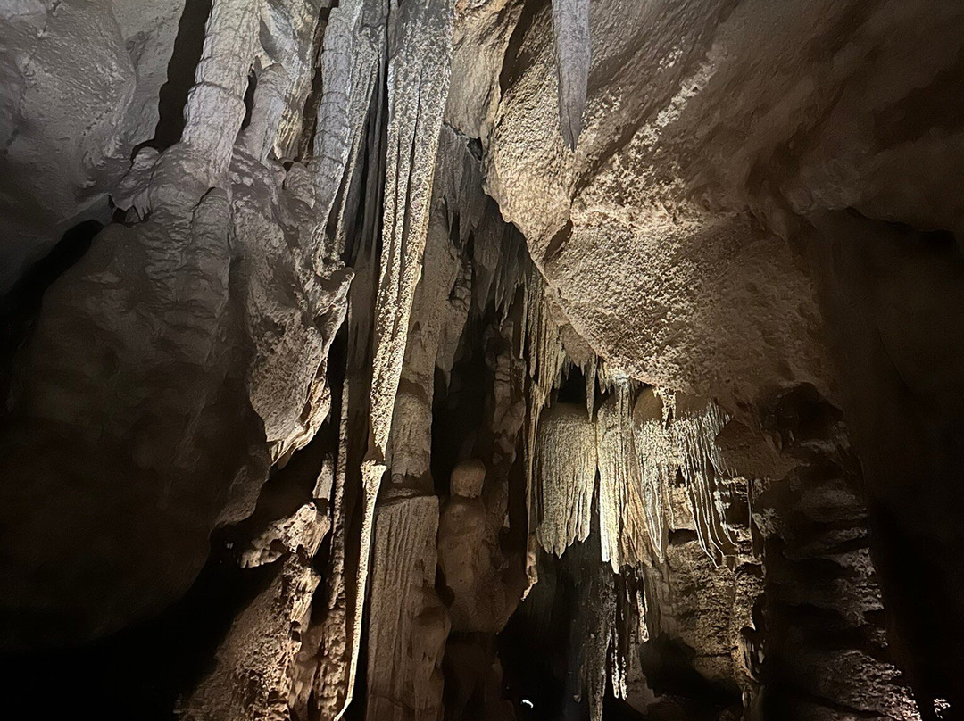 Cutta Cutta Caves Nature Park-凯瑟琳必去景点