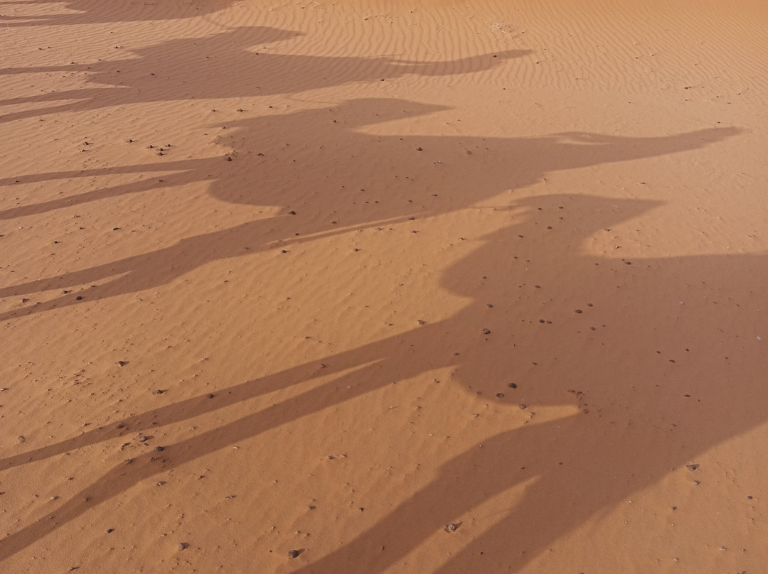 Best Morocco Holidays-卡萨布兰卡必去景点