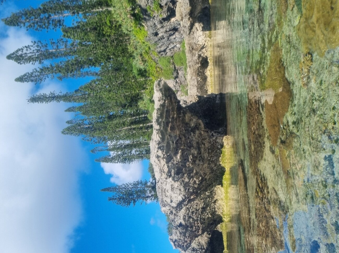 Piscine Naturelle景点图片