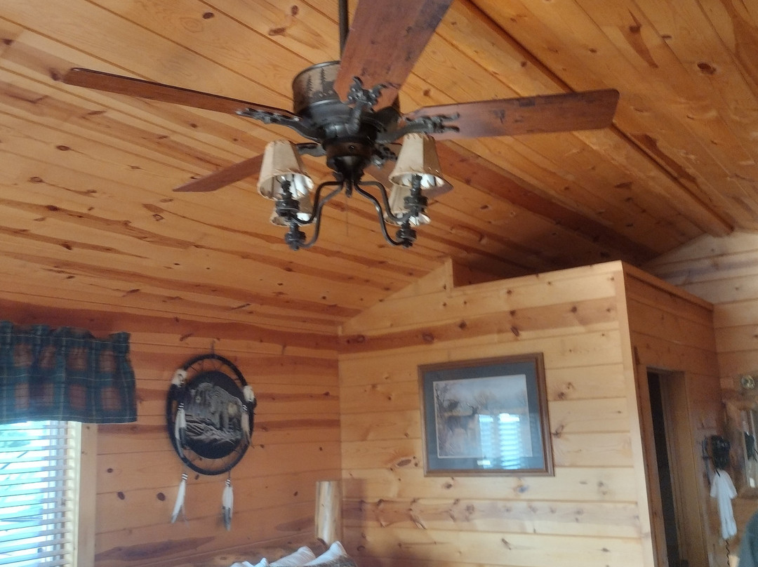 Frontier Cabins Motel主图