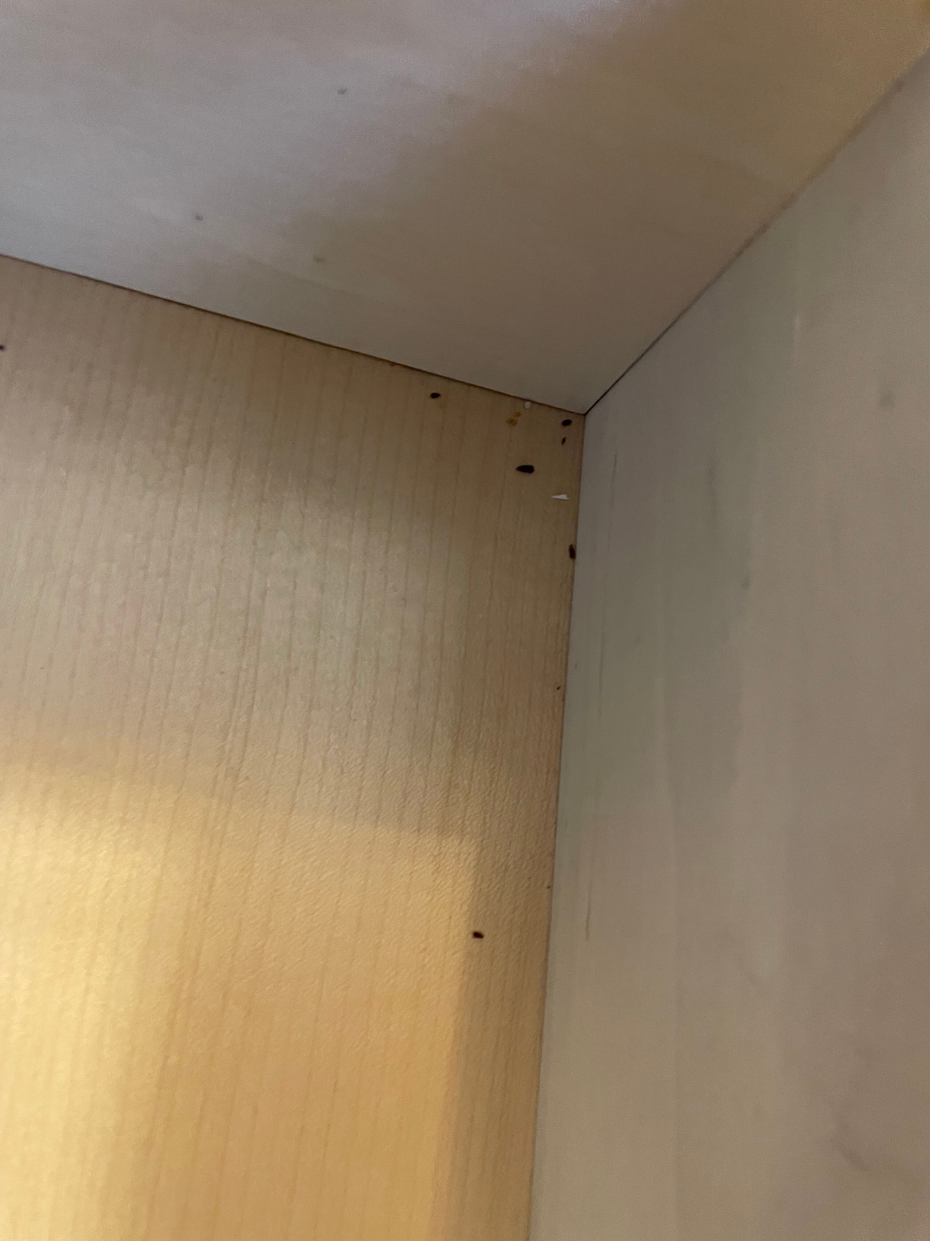 克利夫兰西湖万怡酒店-客卧