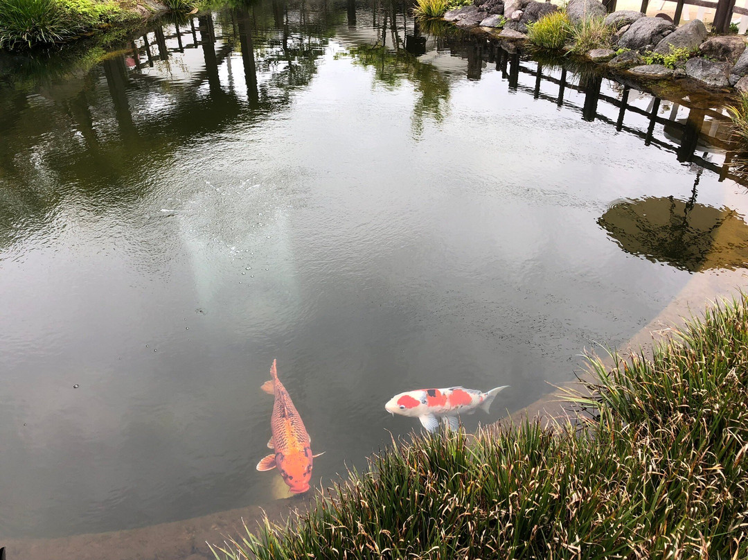 The Town of Swimming Carp-岛原市必去景点