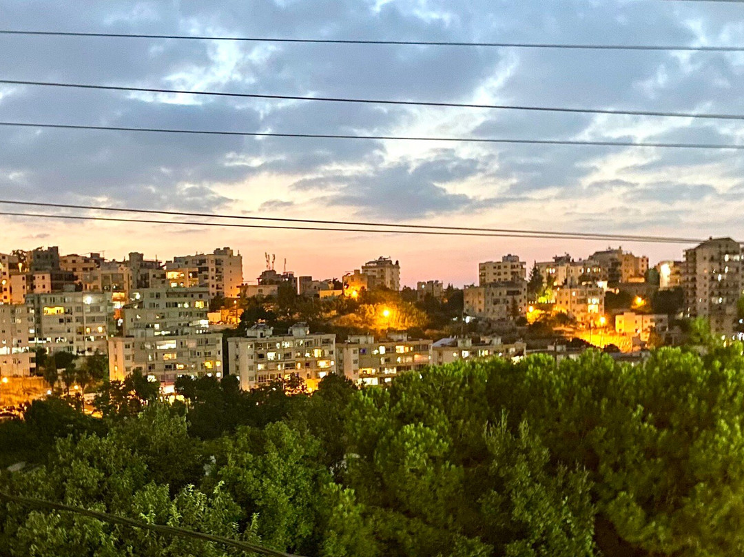 Damask Rose Lebanese Guest House主图