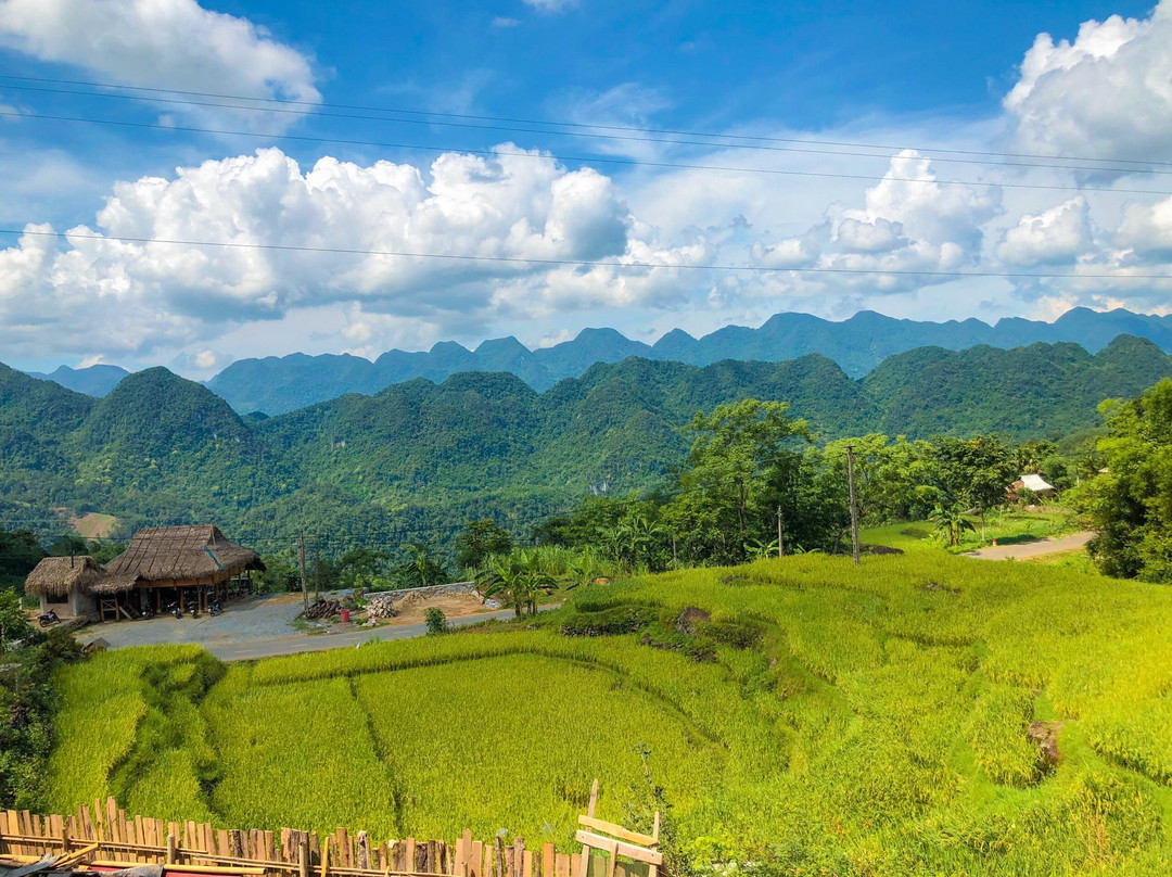 Pu Luong Jungle Lodge