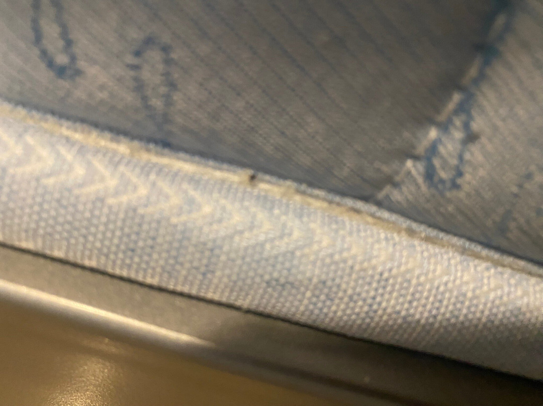 布里安扎酒店主图