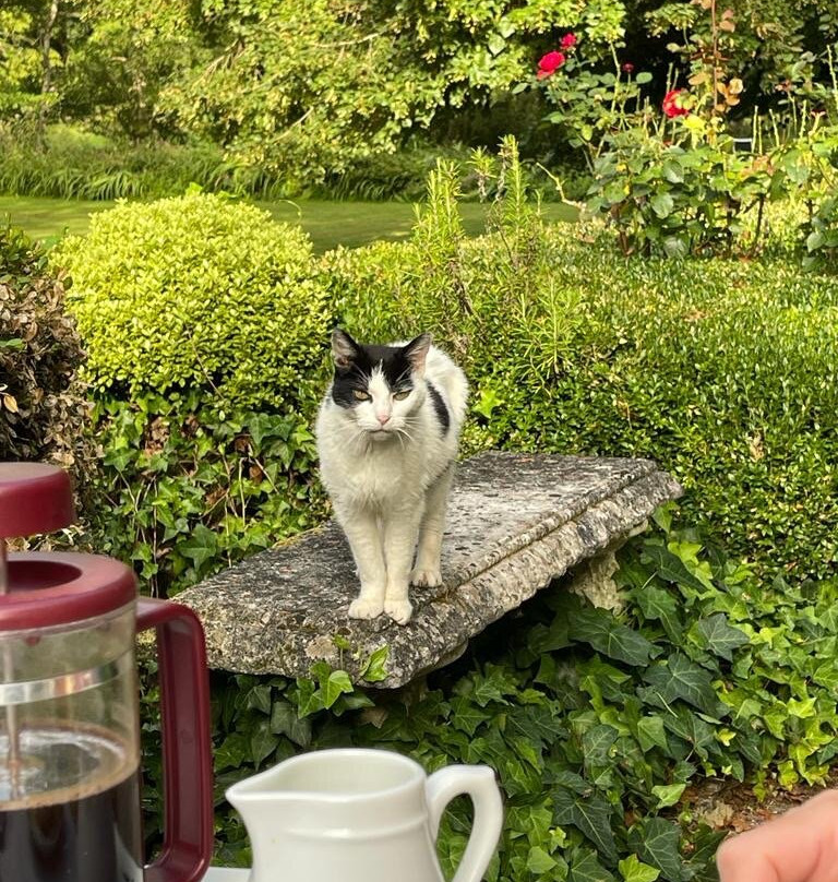 Le Moulin Neuf主图