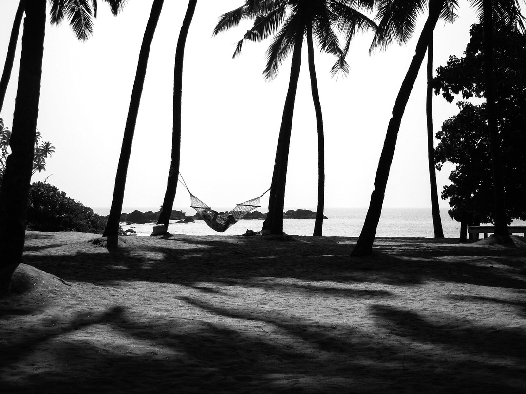 Cola Beach Exclusive Tented Resort主图