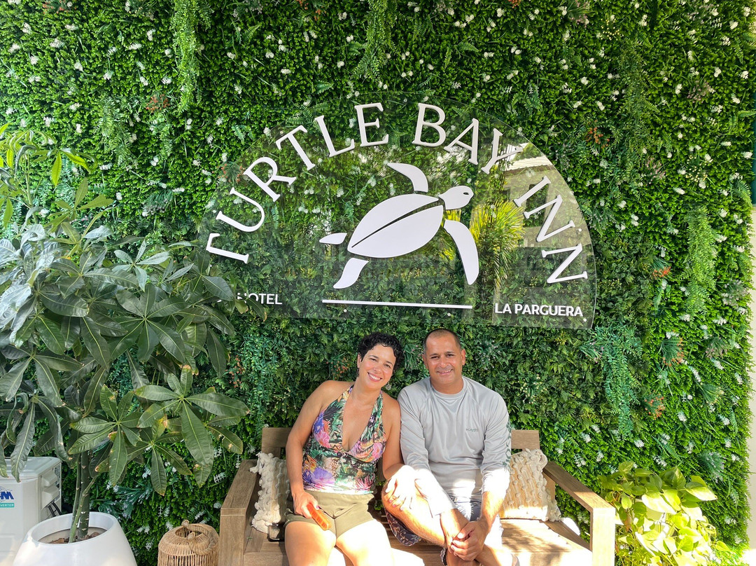 Turtle Bay Inn主图
