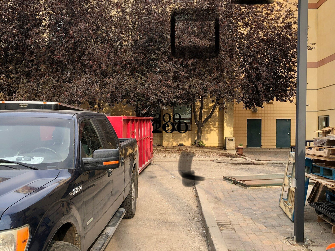 坦珀尔花园与水疗度假村主图