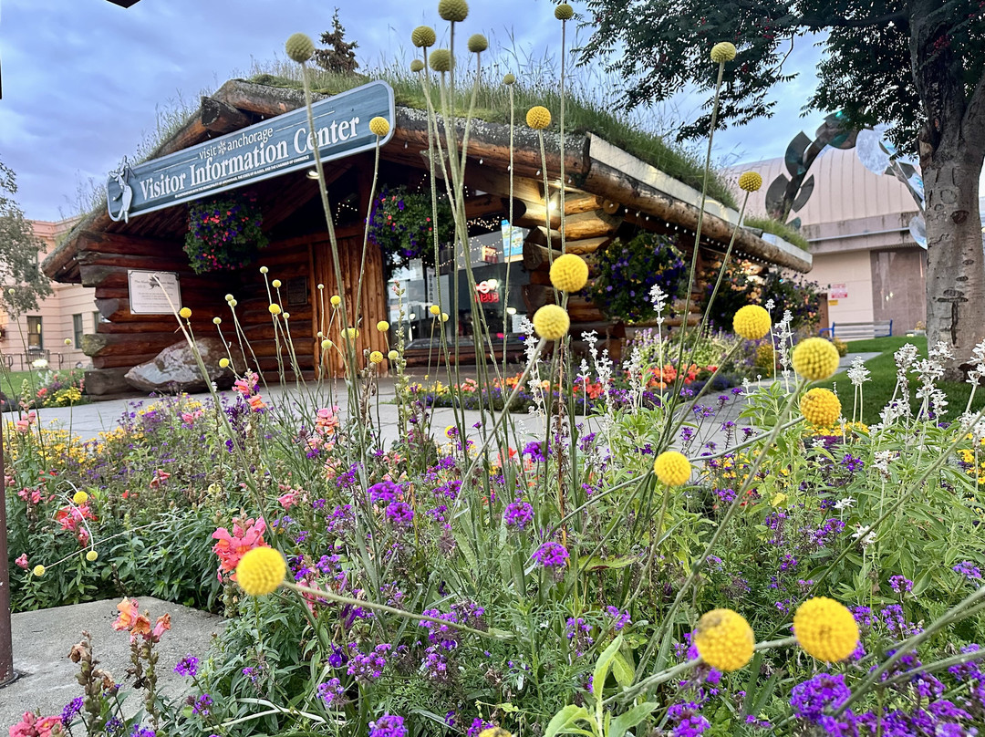Visit Anchorage Log Cabin Visitor Information Center-安克雷奇必去景点