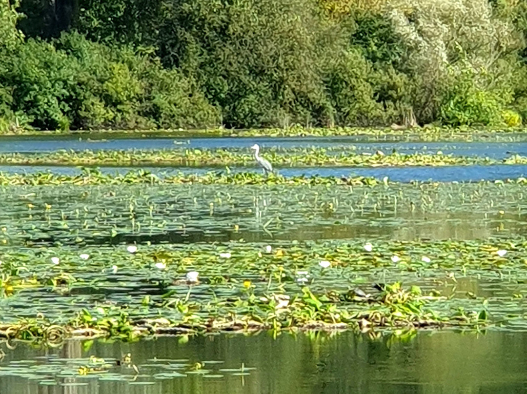 Lago di Fimon景点图片