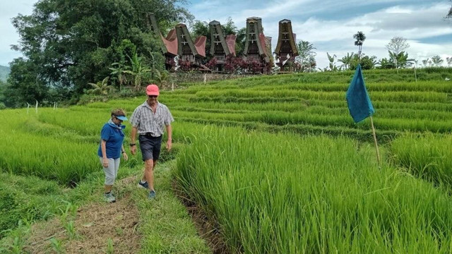 Toraja Local Guide-兰特包必去景点