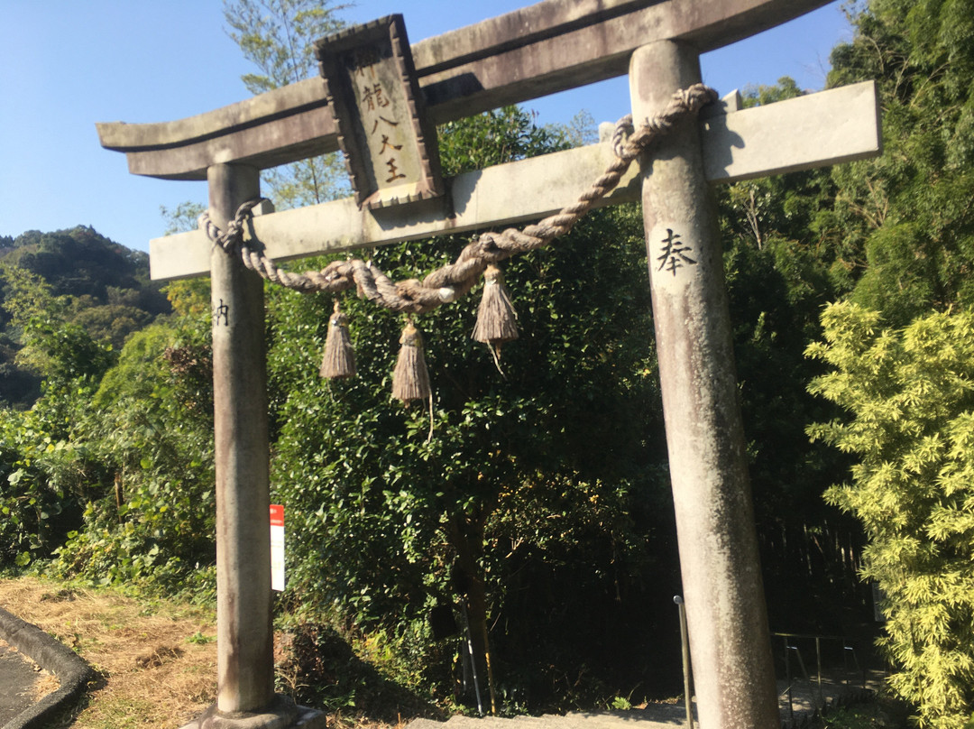 Shinryu Hachidaio Shrine景点图片