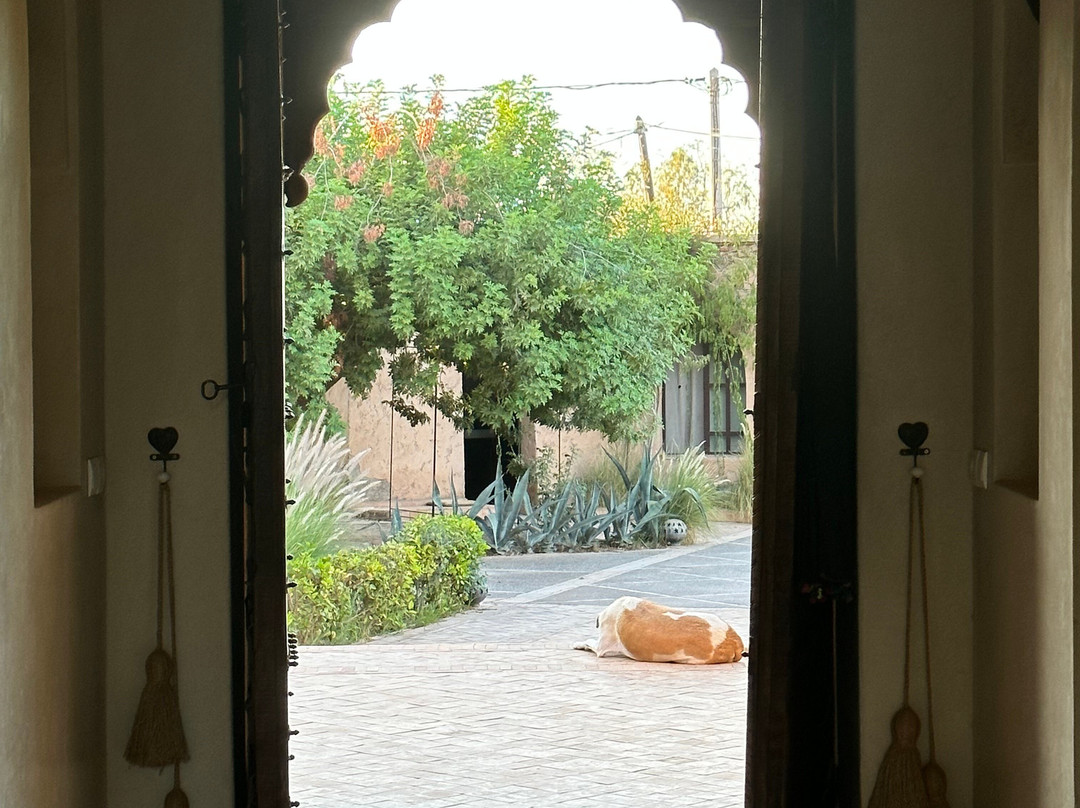 卡匝尔旅馆主图