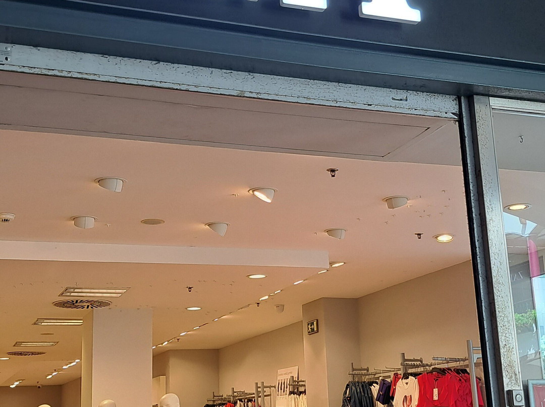 Forum Madeira-沙尔必去景点