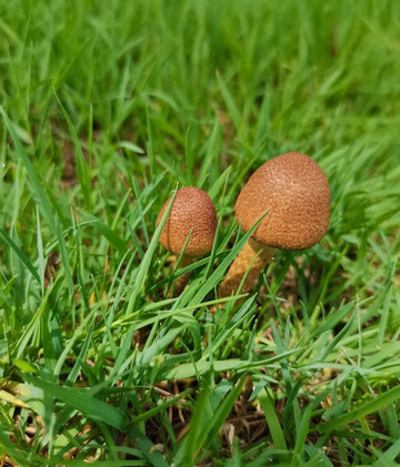 黑龙滩-仁寿县必去景点