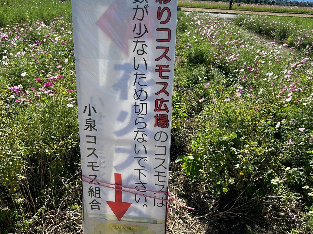 Koizumiinari Shrine-伊势崎市必去景点