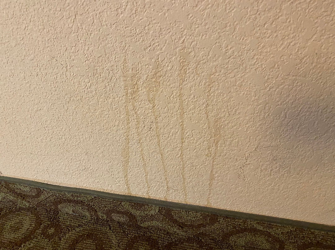 Hampton Inn & Suites Buffalo主图