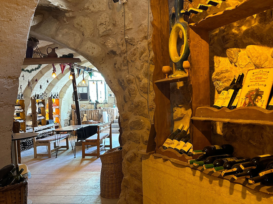 Salkim Sarap Evi (Wine tasting Tour)-阿瓦诺斯必去景点