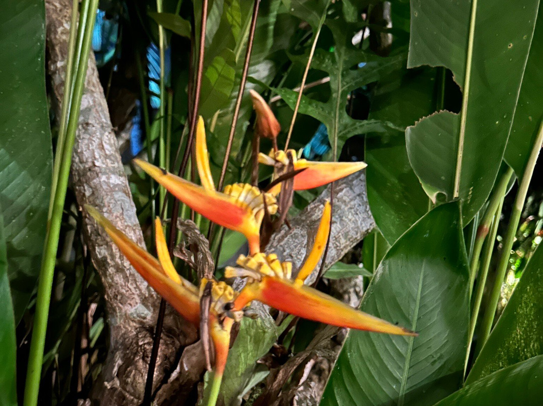 Devan Guest House Canggu主图