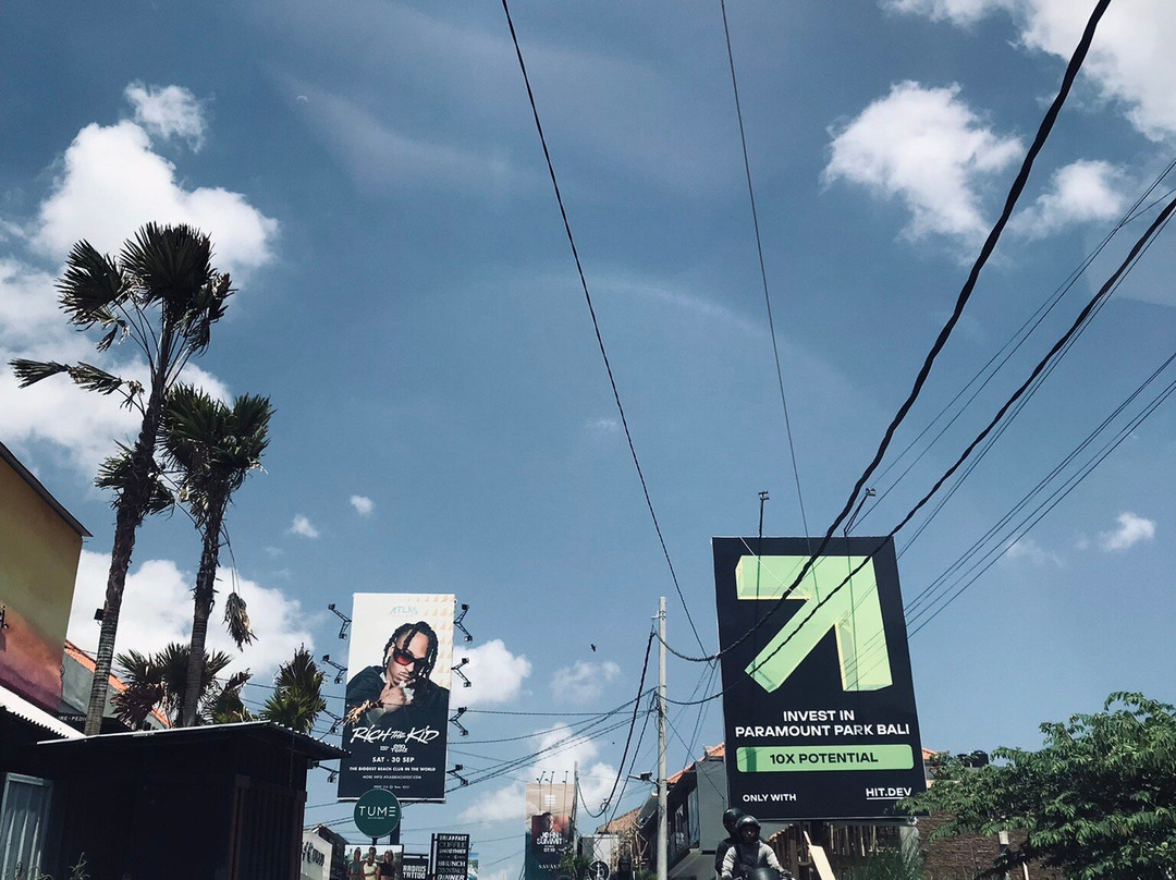 Bali Drive Service-乌布必去景点