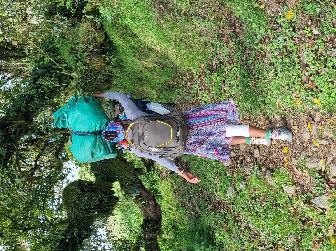 Kilihome Adventure-阿鲁沙必去景点