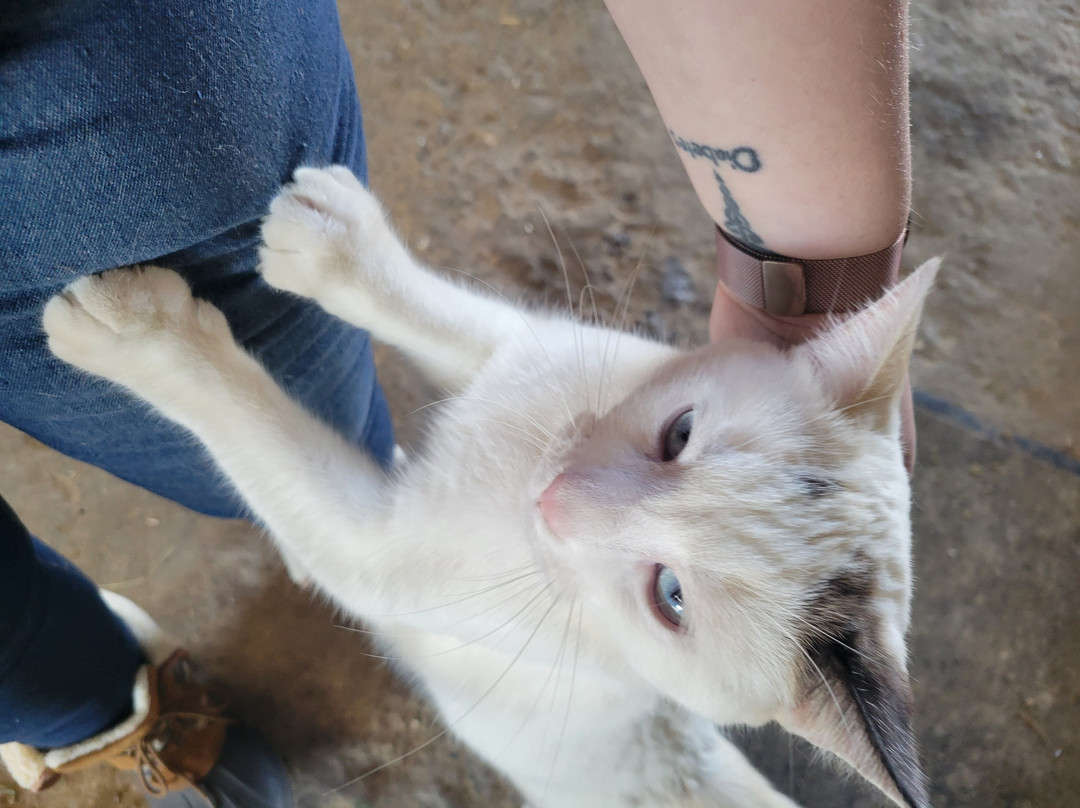 Equestrian Ridge Farm-New Plymouth必去景点