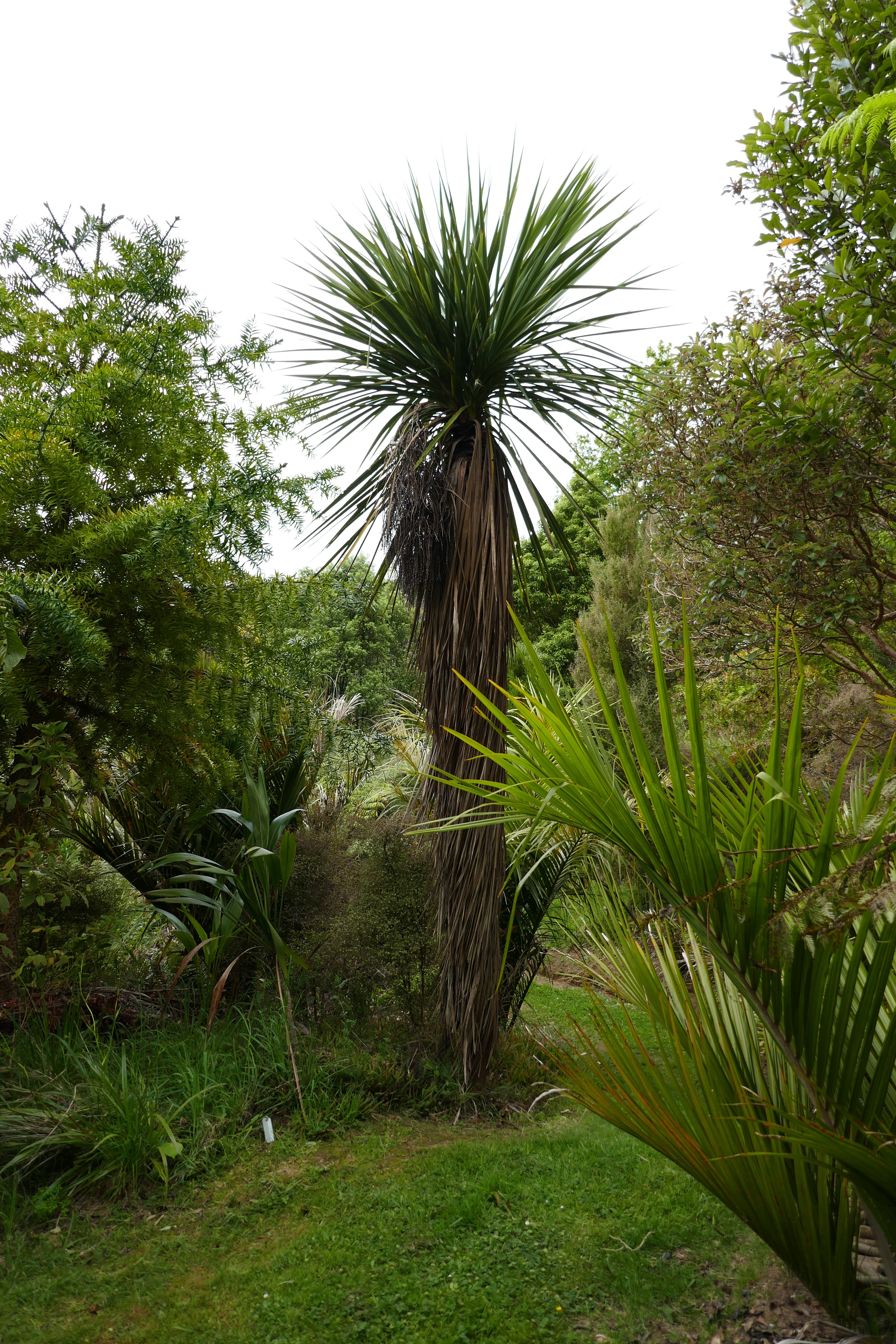 赫尔维卡花园酒店-官方