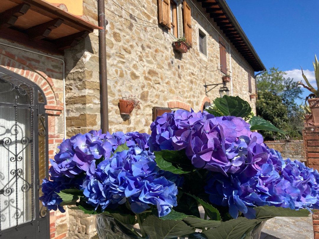 Cocomeraio Agritourism In Tuscany