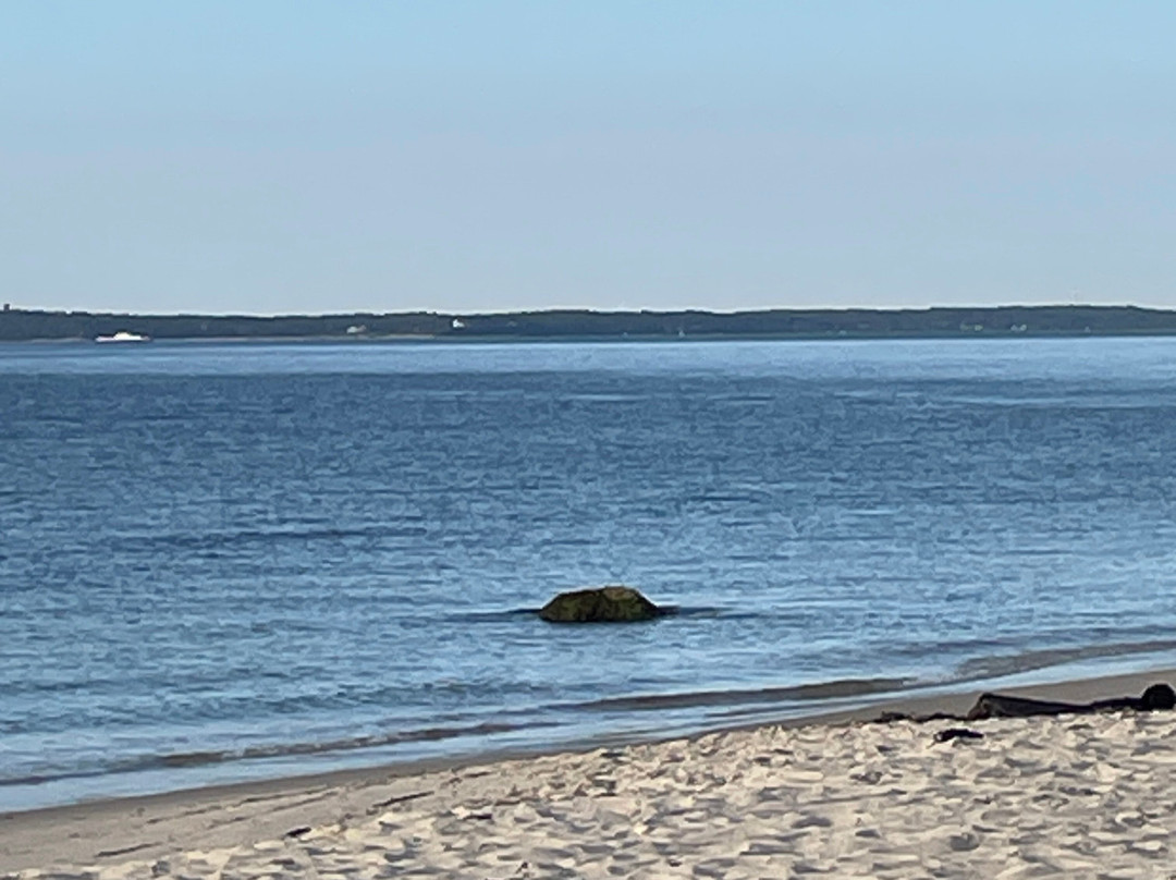 The Broad Meadow Bed & Breakfast主图