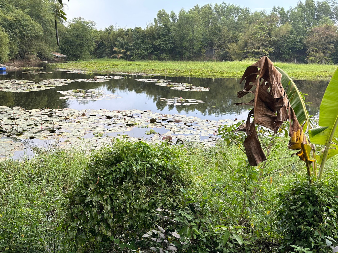 Ben Cat酒店住宿-Cu Chi Boutique Farmstay