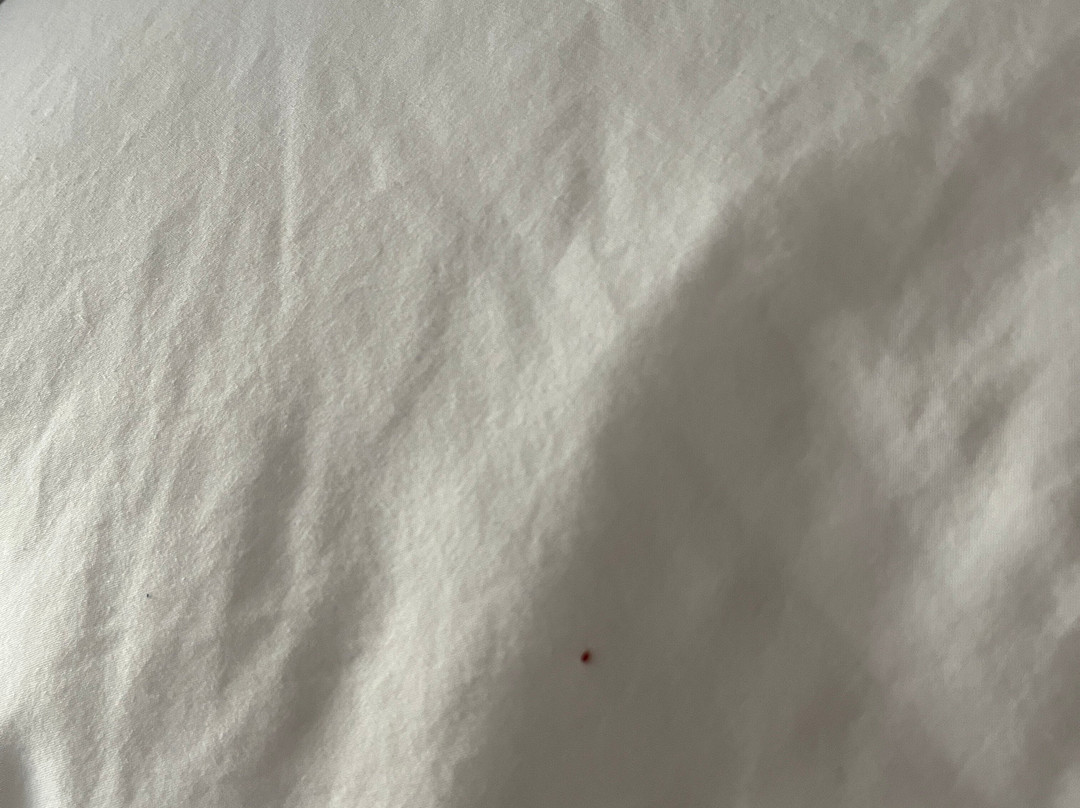 Hampton Inn & Suites Ft. Lauderdale West-sawgrass/tamarac主图