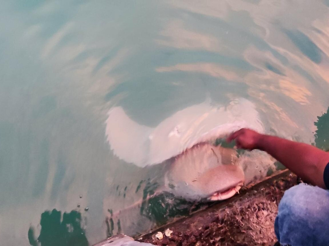 拉斯胡美景酒店主图