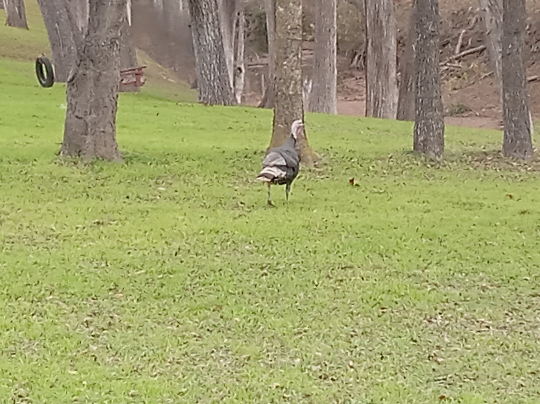 The Meyer Hotel主图