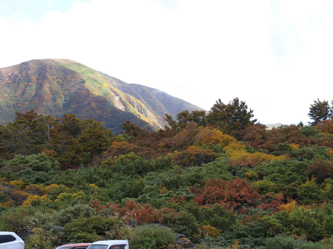 Hokodate Observatory景点图片