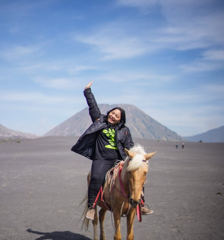 Bromo Malang Travel-玛琅必去景点