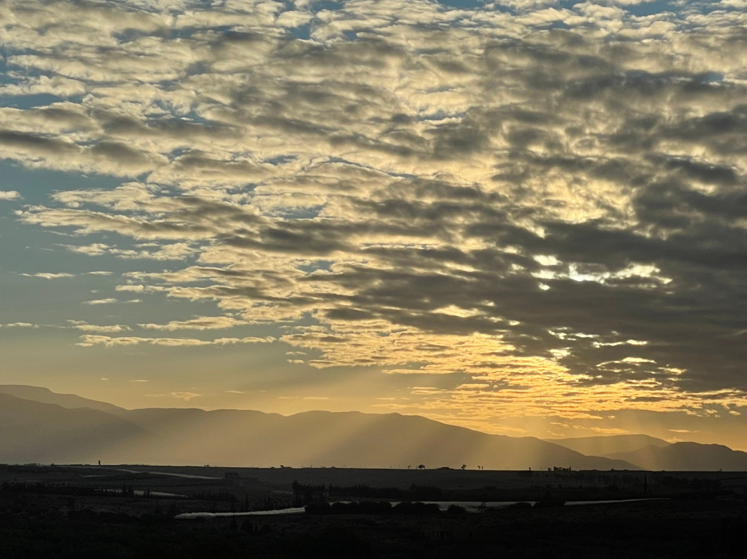 The Capaldi Hotel主图