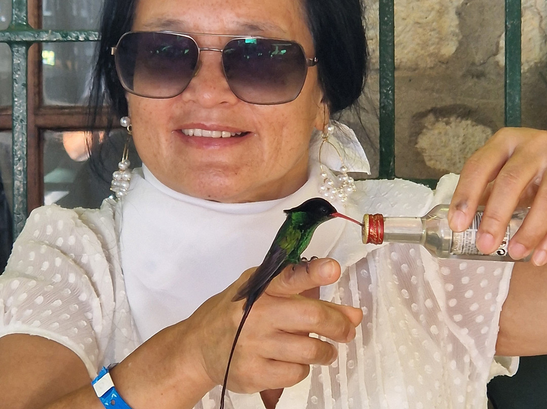 Finesse Vacations Jamaica-蒙特戈贝必去景点